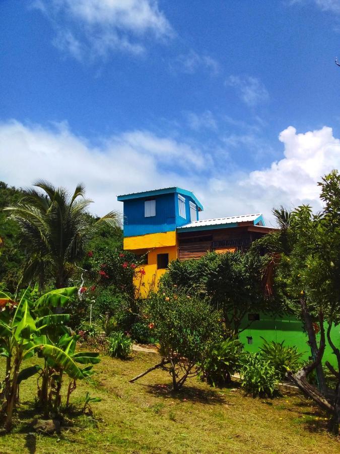 Windy View Guest House Archibolds Екстериор снимка