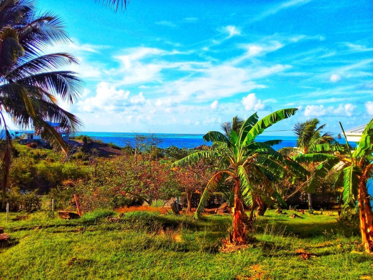 Windy View Guest House Archibolds Екстериор снимка