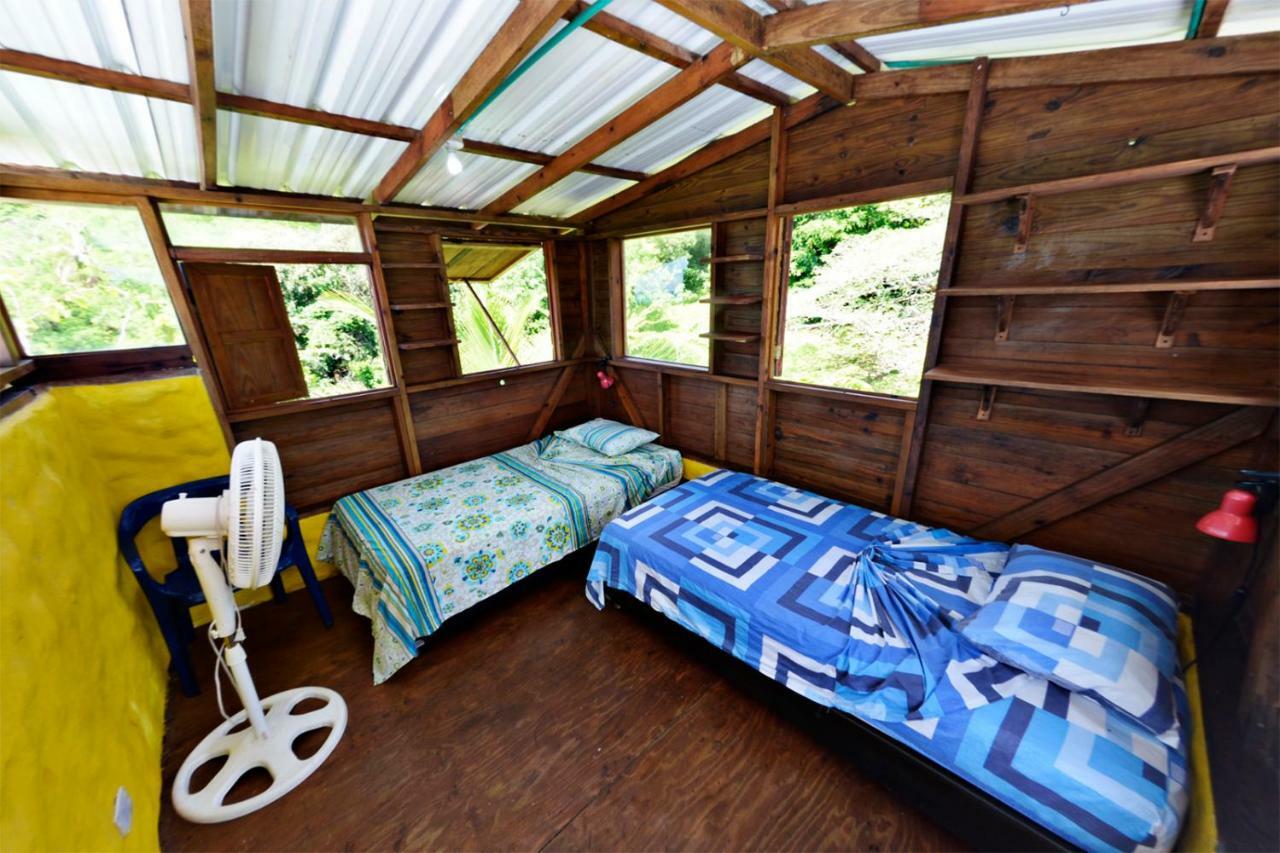 Windy View Guest House Archibolds Екстериор снимка