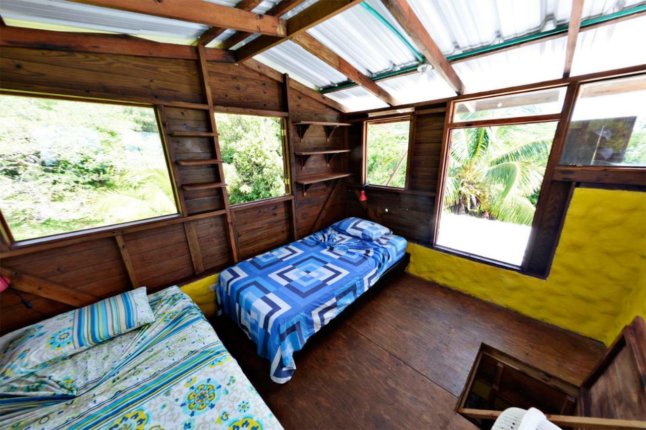Windy View Guest House Archibolds Екстериор снимка